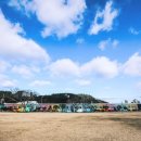 명월초등학교 이미지