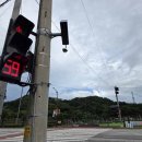 신호대기 횡단보도 이미지