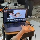 알팀도그
