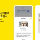 카카오일 이미지