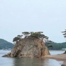 효자도2 이미지