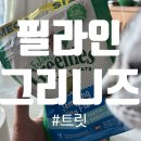 고양이 트릿 필라인 그리니즈 후기(+훈련 방법)