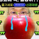 아침 공복 사과 빈속에 먹으면 사과 반쪽 반개 칼로리 혈당 이미지