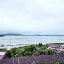 퍼플여행 이미지