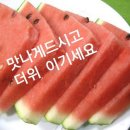 방글이마트