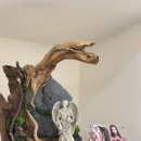 힐링운동샵 이미지