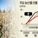 한경이네 농산물 이미지