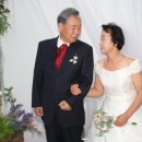 주식회사티웨딩 이미지