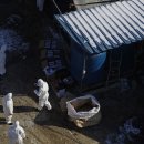 노원농장 이미지