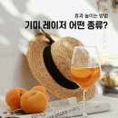 스텔라여성의원 | 천안 기미 제거 피부과 레이저 종류, 어떤 차이가 있을까?