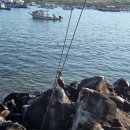 참치랑가재랑 | [Day66_갈라파고스(산크리스토발)] 키커락 스노쿨링 투어/참치포케 맛집!!