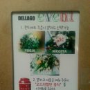 델라고(dellago) 이미지