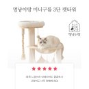 메인캣 | [소형 원목 캣타워 추천]멍냥이랑 미니구름 3단 캣타워 사용 후기