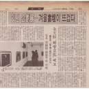 雲峰 이규완의 60년, 현대민화를 개척하다. 이미지