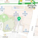 롯데백화점헤지스레이디