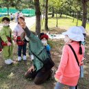 감정초병설유치원 이미지