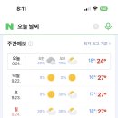 나의 소중한, 오늘 이미지