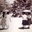 산호여관
