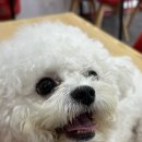 몽글몽글 이미지