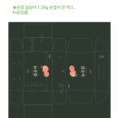 홍현농장 | 박스쿱 제작 후기 희귀 과일 &#39;설숭아&#39; 패키지 박스 긴급 제작 &amp; 감동의 선물 후기