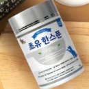 강아지스푼 이미지