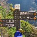 제386회 설악산 대청봉 10월4일 (토요일밤출발 무박2일) 이미지