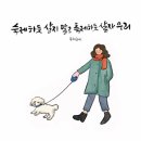 화순리 안덕생활체육관 | 제주 서귀포 안덕면 사무소 화순문화마을 의 있는 명소