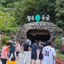동양농원 | [충북충주여행]여름에도 긴팔 필수! 충주 활옥동굴 관람 후기 (운영시간·소요시간 총정리)