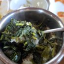 곤드레밥집 | 청주 외곽 맛집 산수유피는 마을 미동산수목원 근처 곤드레밥 한식집 후기