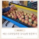 강*식 - 안양시 만안구 박달로 453 | 예산 사과맛집 가볼만한 곳 강식농원 이용후기