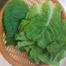 금호수산 이미지