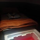 오선토탈바디케어 | 평택마사지 비엣토탈바디케어 후기 (토탈관리 제대로 힐링)