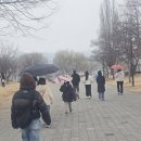둥근나라