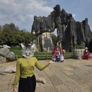 석림4로 | "같은 날 맞냐•••" 쿤밍여행 구향동굴 투 석림 하루 코스 솔직 후기