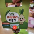 [환경교육후기] 새싹보리