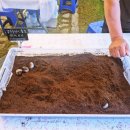 만이농장 | 완주 이색체험 건강식 완주굼벵이벵이농장 완주와일드로컬푸드축제 완주가볼만한곳