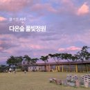 파주드라이브갈만한곳 노을뷰 카페 다온숲 풀빛정원