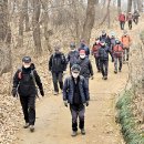 양재천 &amp; 달터그린공원 (35 매화산악회 정기산행 - 2025. 1. 21) 이미지