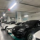 GS25진주푸른솔점 | [성수] CCL컬러이미지융합연구소 퍼스널컬러+체형진단: 나의 BEST컬러찾기_(feat 겨울페일 진단 후기)