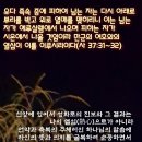 열심