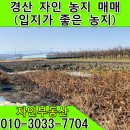 용성메디칼 이미지