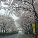 꽃길공인중개사사무소 이미지