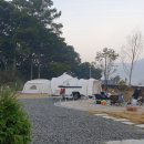 스테이 272 네이버블로그