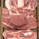 구르는 제주 이미지