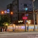 은행나무 포장마차 이미지