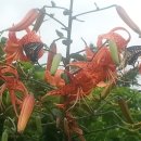 실미농장 이미지