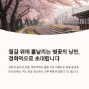 진해대로 이미지