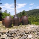 잣나무솔향기 이미지