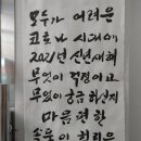 신비한타로사주