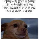 불나라2 | [김천] 불나라 후기🔥 가성비 좋고 양 많은 고기 맛집